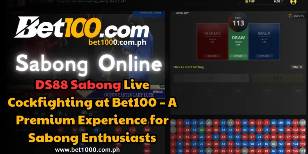 Sabong Online - DS88 Sabong Live Cockfighting at Bet100 – A Premium Experience for Sabong Enthusiasts 1 DS88 Sabong - BEt100